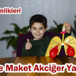 Maket Akciğer Yapımı