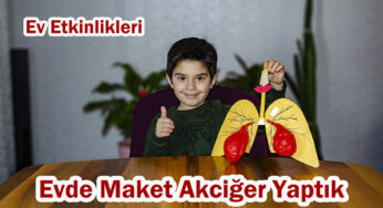 Maket Akciğer Yapımı (Oğlumuzla Solunum Sistemini Öğrendik)