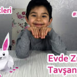 Tavşan Yapımı